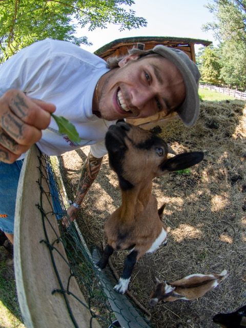 Majica kratkih rukava RICH Dollar Goat